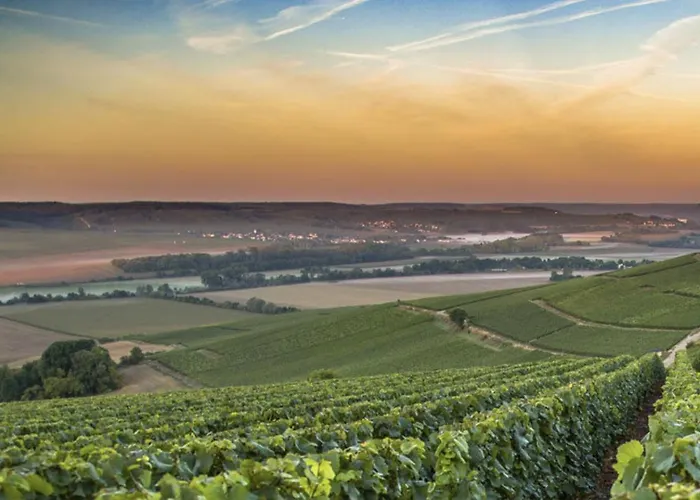 Couette-café L'écrin Du Marquis 3*